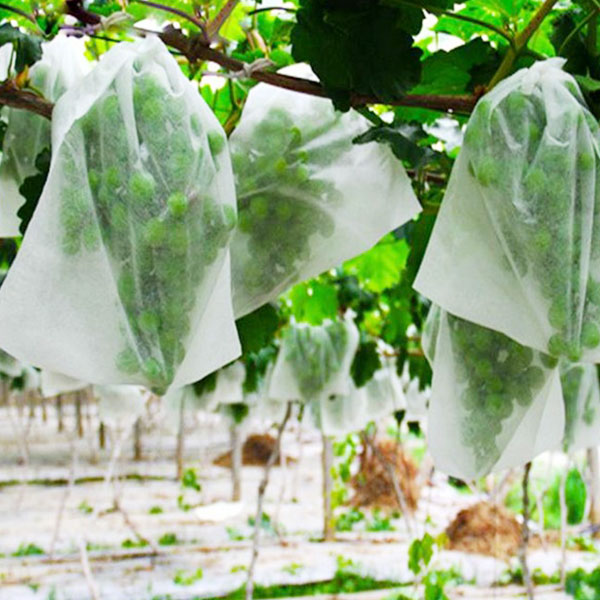 Non Woven Fabrics For Planting Bags