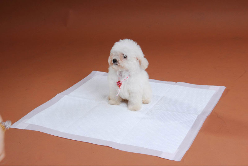 Pet Pads Non Wovens Fabrics Supplier