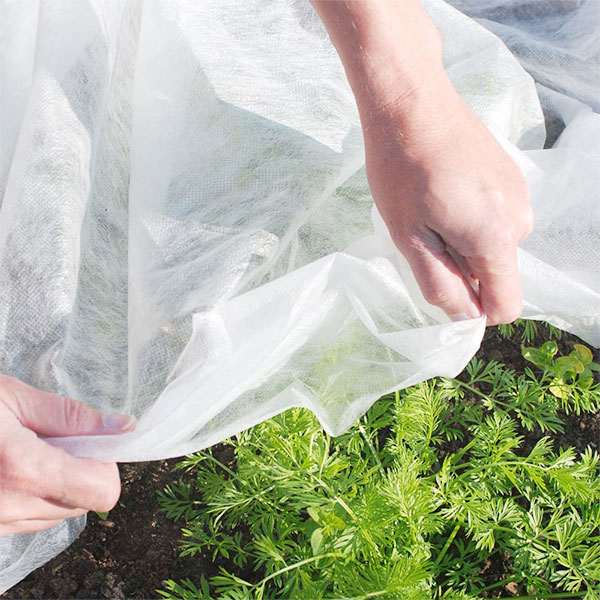 Application of Non-woven Fabric in Vegetable Production