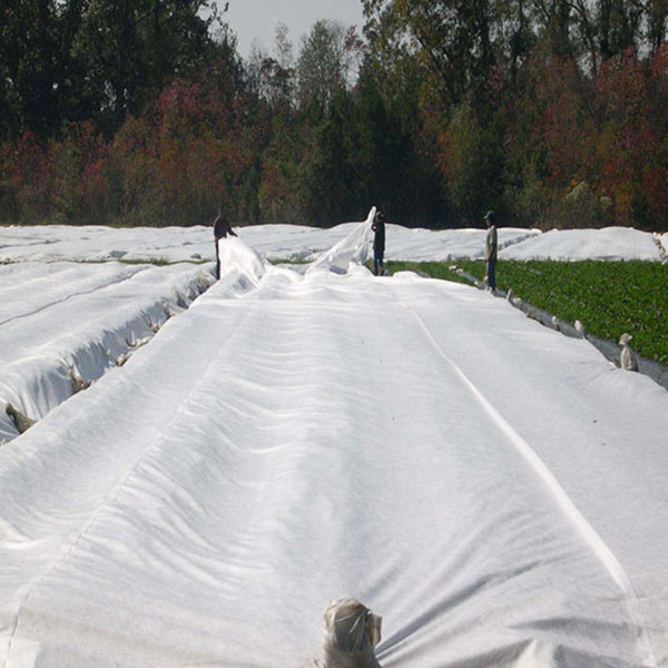 Agricultural Nonwoven Fabrics