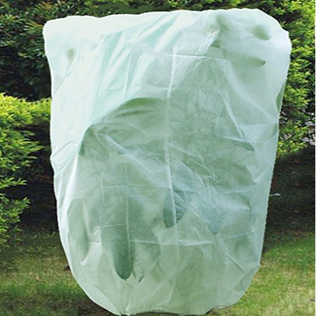 Plant Protection Cover
