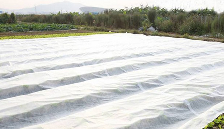 Agricultural Non Woven Fabrics Can Control Weeds