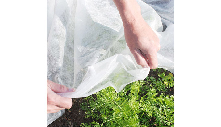 Application of Non-woven Fabric in Vegetable Production