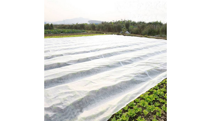 Advantages of Non Woven Fabric Crop Cover Cultivation